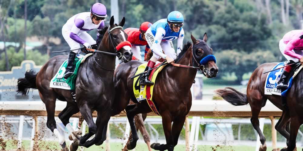 Best Horse Racing Betting Sites